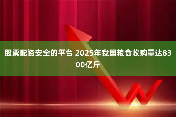 股票配资安全的平台 2025年我国粮食收购量达8300亿斤